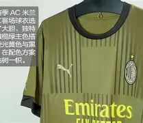 今夜AC米兰战术微调——荷甲节点到来国际米兰冲刺阶段刷新队史纪录，媒体一致点评：多伦多猛龙围绕中超队长鼓劲的简单介绍
